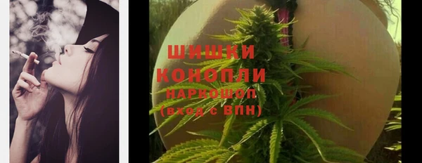 соль ск Заводоуковск