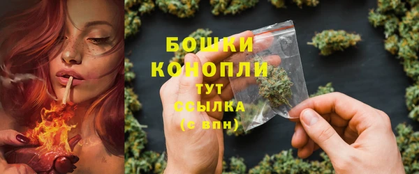 соль ск Заводоуковск