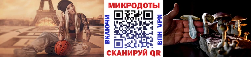 Купить  Вязьма  Галлюциногенные грибы мухоморы 
